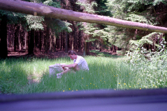 1989-Wiltz-0031